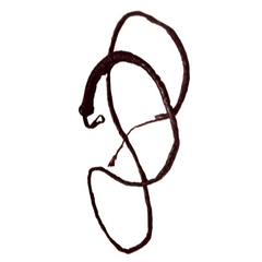 Extra Long Prop Whip