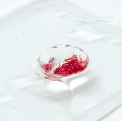 Princess Pinky Vessel Burst Sclera Contacts