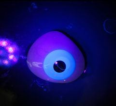 Pinky Paradise Blue UV Reactive Eye Contacts
