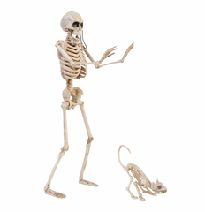 14" Skeleton Walker and Pet Assortment