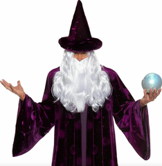 Midnight Mystic Men's Wizard Costume
