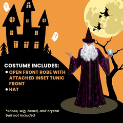 Midnight Mystic Men's Wizard Costume