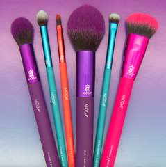 Complete Face 6pc Makeup Brush Kit