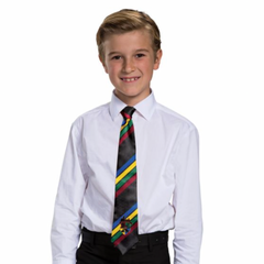 Hogwarts All Houses Necktie