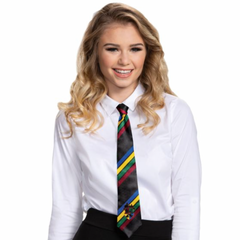 Hogwarts All Houses Necktie