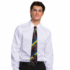 Hogwarts All Houses Necktie