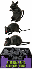 Mini Black Mice