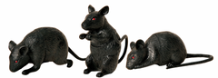 Mini Black Mice