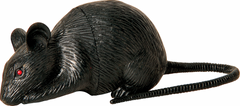 Mini Black Mice