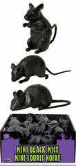 Mini Black Mice