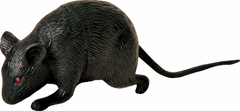 Mini Black Mice