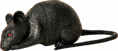 Mini Black Mice