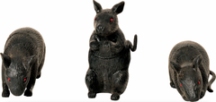 Mini Black Mice