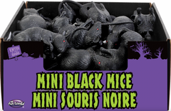 Mini Black Mice