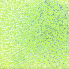 Forest Fairy Women's Costume