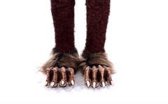 Brown Animal Claw Feet Shoe Covers