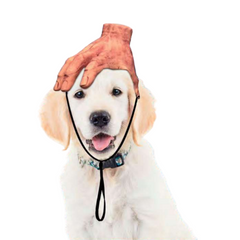 Cuzin Ruff Dog Hat