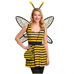 Wings and Headband Bee Kit