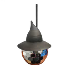 Witch Hat Disco Ball Tumbler