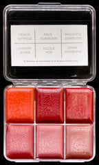 Skin Illustrator On Set Sunburn Alcohol Activated Palette