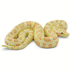 Python Prop - Albino Burmese