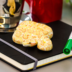 Python Prop - Albino Burmese