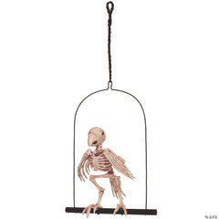 Perched Parrot Skeleton Hanging Prop