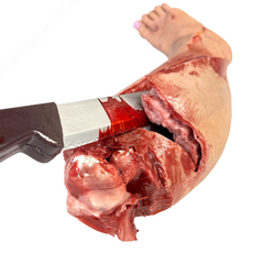 Severed Female Left Leg w/ Exposed Resin Bone