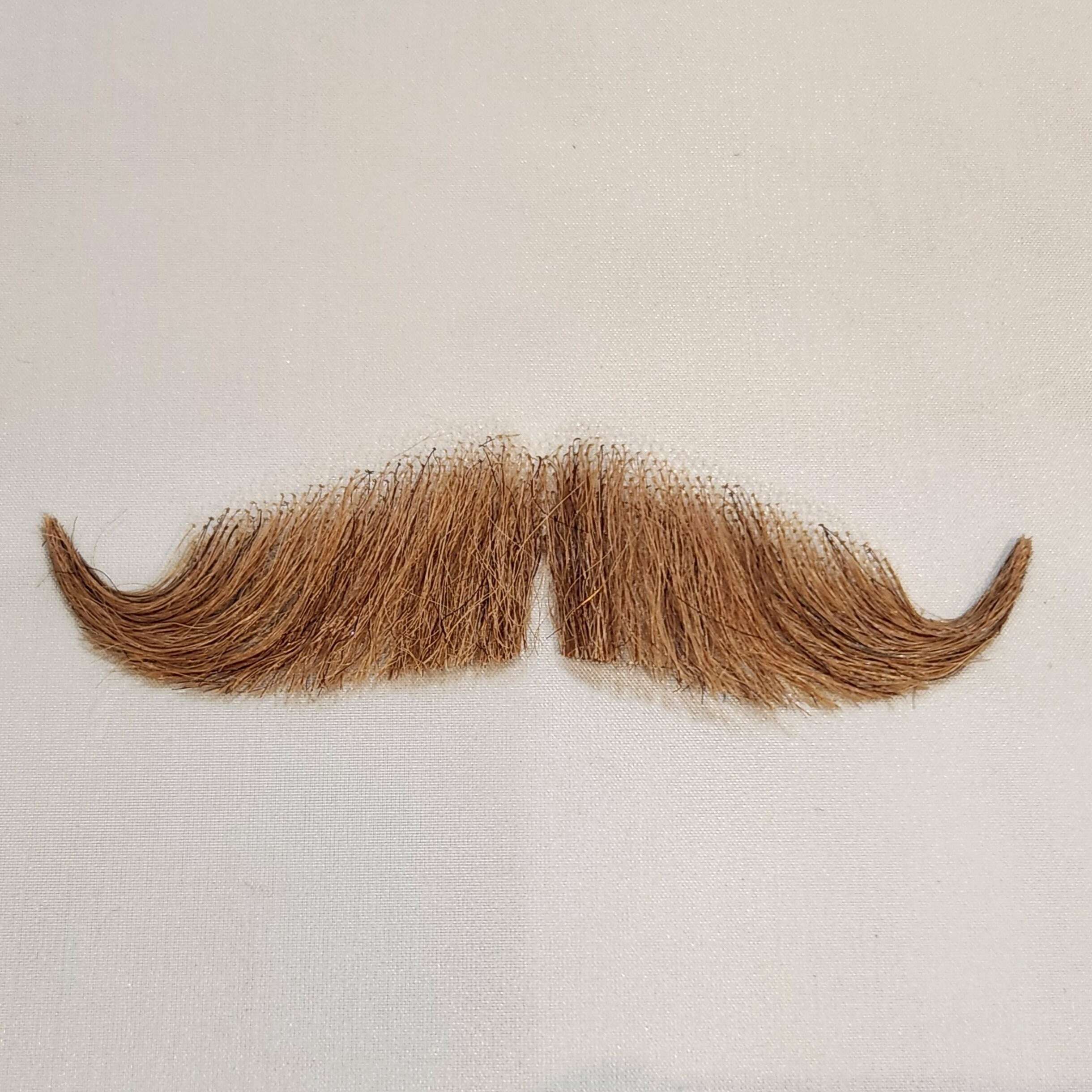 Mustache Color Black Mustache Mustaches Self Adhesive Fake Beard, Novelty, Philosopher ...