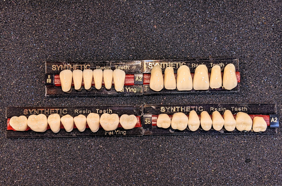 Full Set of Loose Resin Teeth (28 Pack)