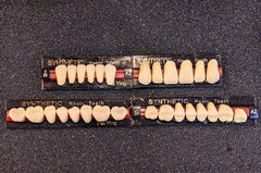 Full Set of Loose Resin Teeth (28 Pack)