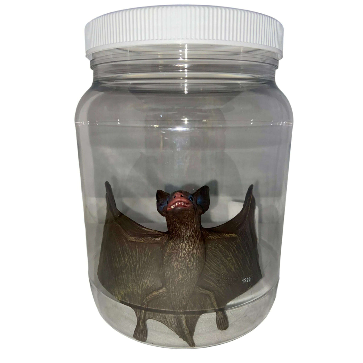 Bat Specimen Jar