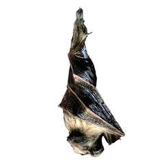 Hanging Bat Static Prop