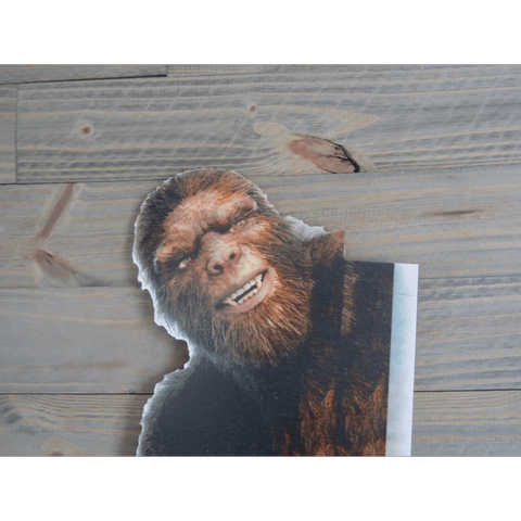 Big Foot Peek-A-Boo Corner Sign – AbracadabraNYC