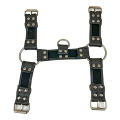 Black Buckle Bulldog Harness