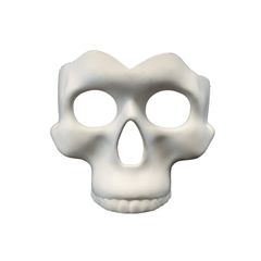 Blank White Skull Mask