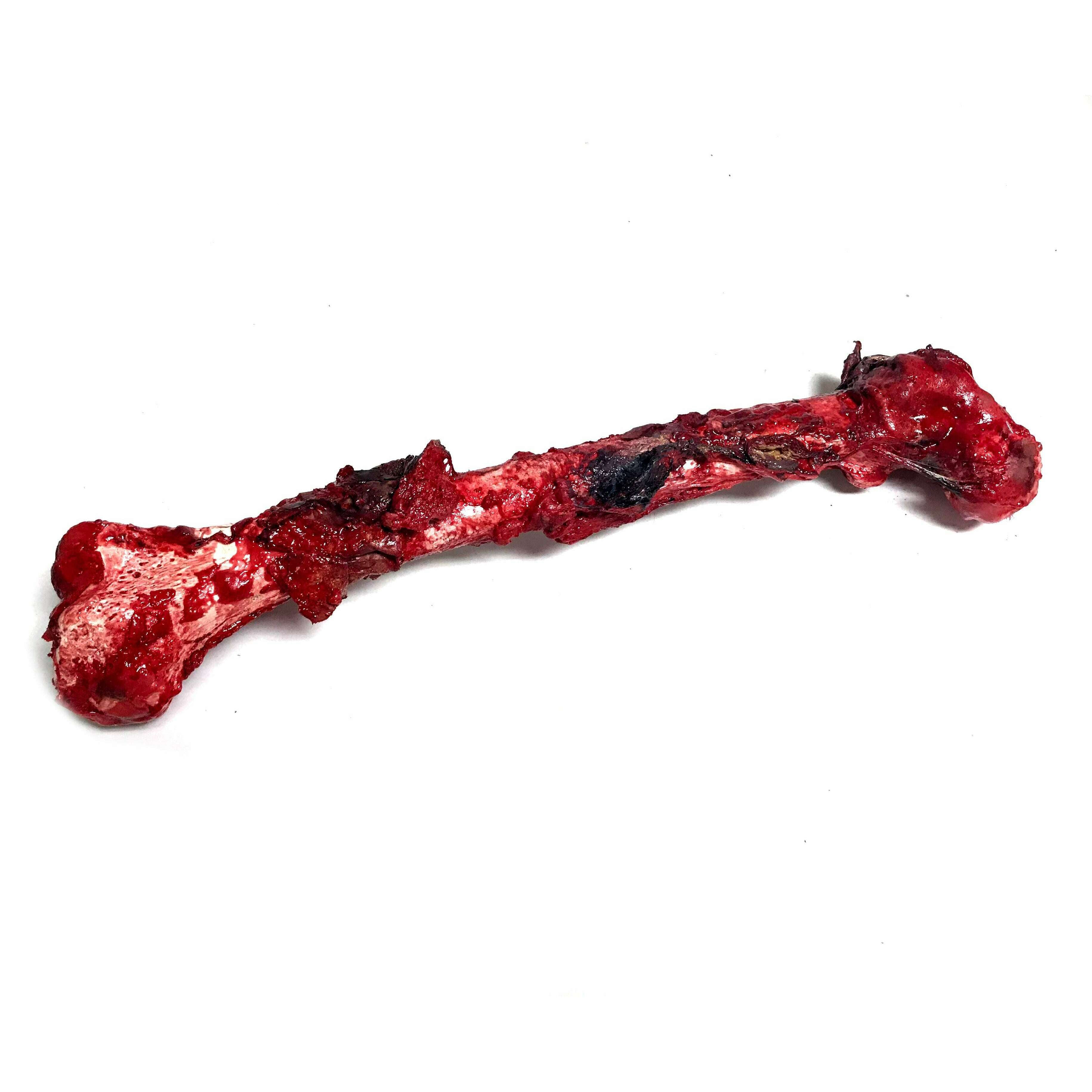 Bloody, Grisly Femur Bone Special Effects Prop with Realistic Skin and Gore