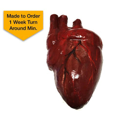 Bloody Hand-Painted Heart Flexible Foam Rubber Special Effects Life-Sized Prop