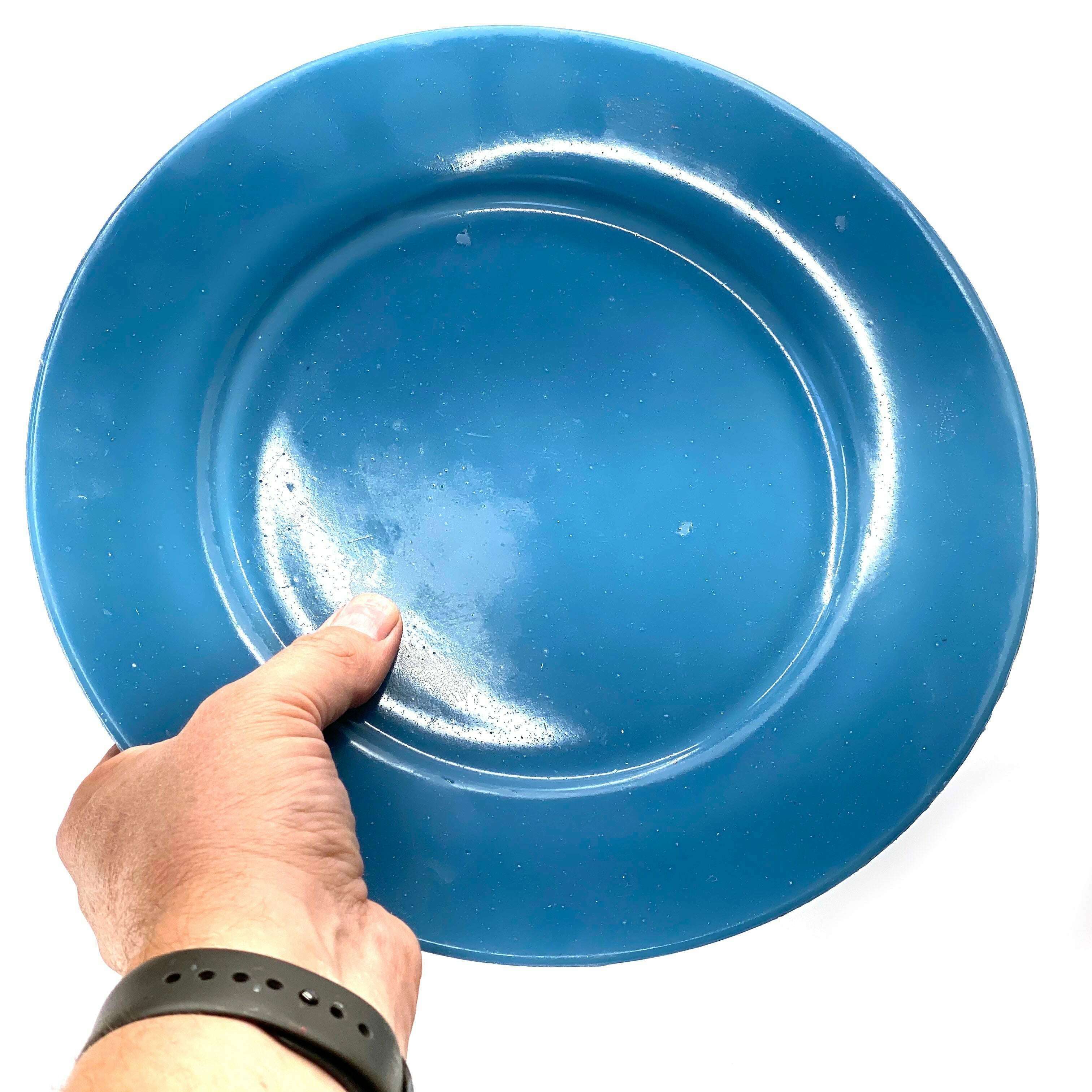 Breakaway Large Dinner Plate