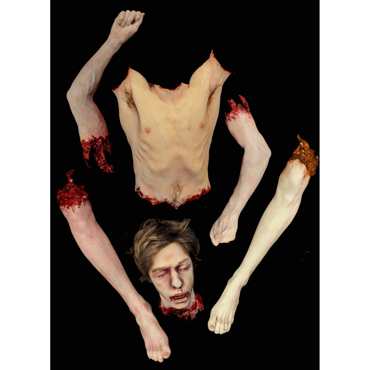 Butcher Bundle Gory Body Parts Bundle Pack