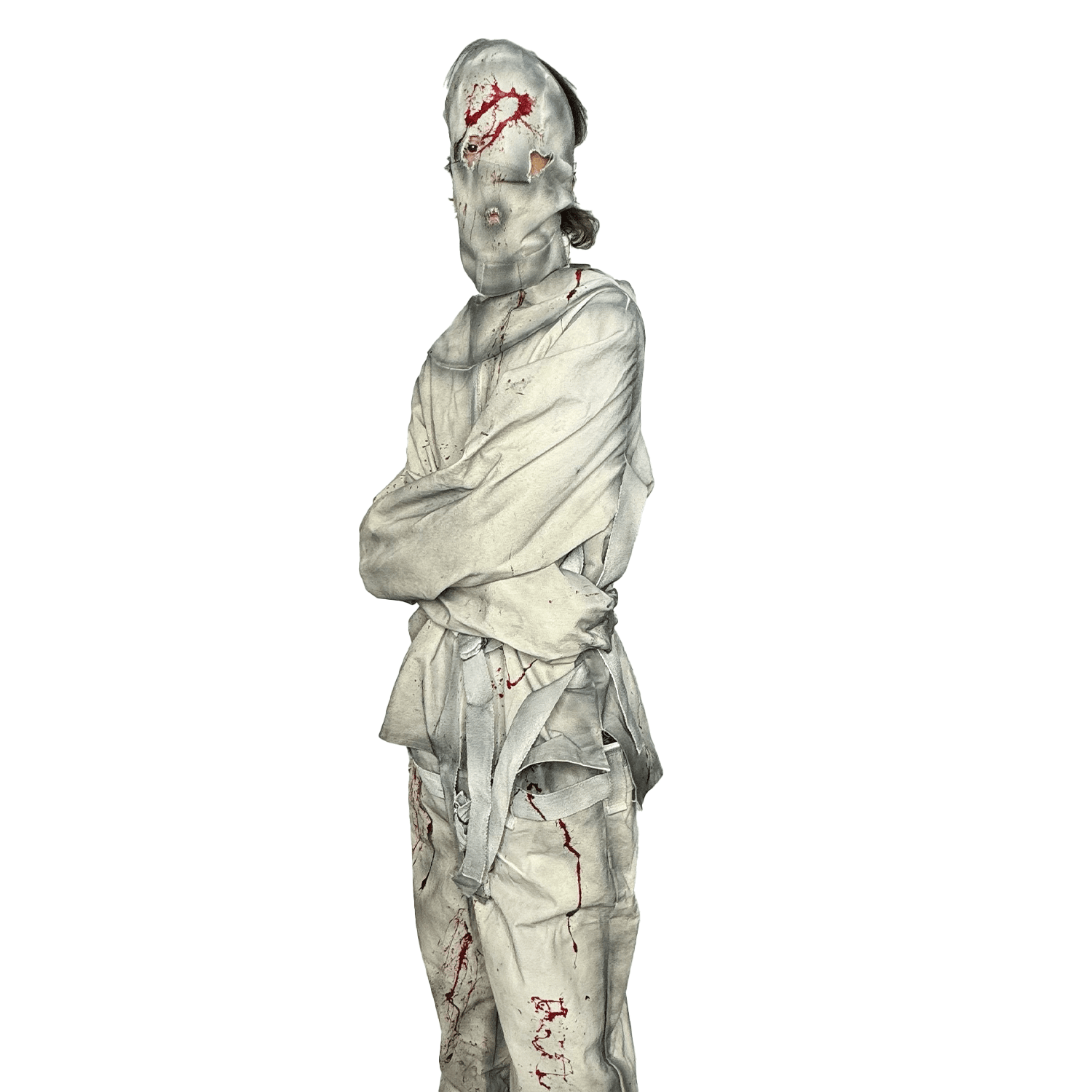 Committed Asylum Straight Jacket with Restraints Adult Costume ...