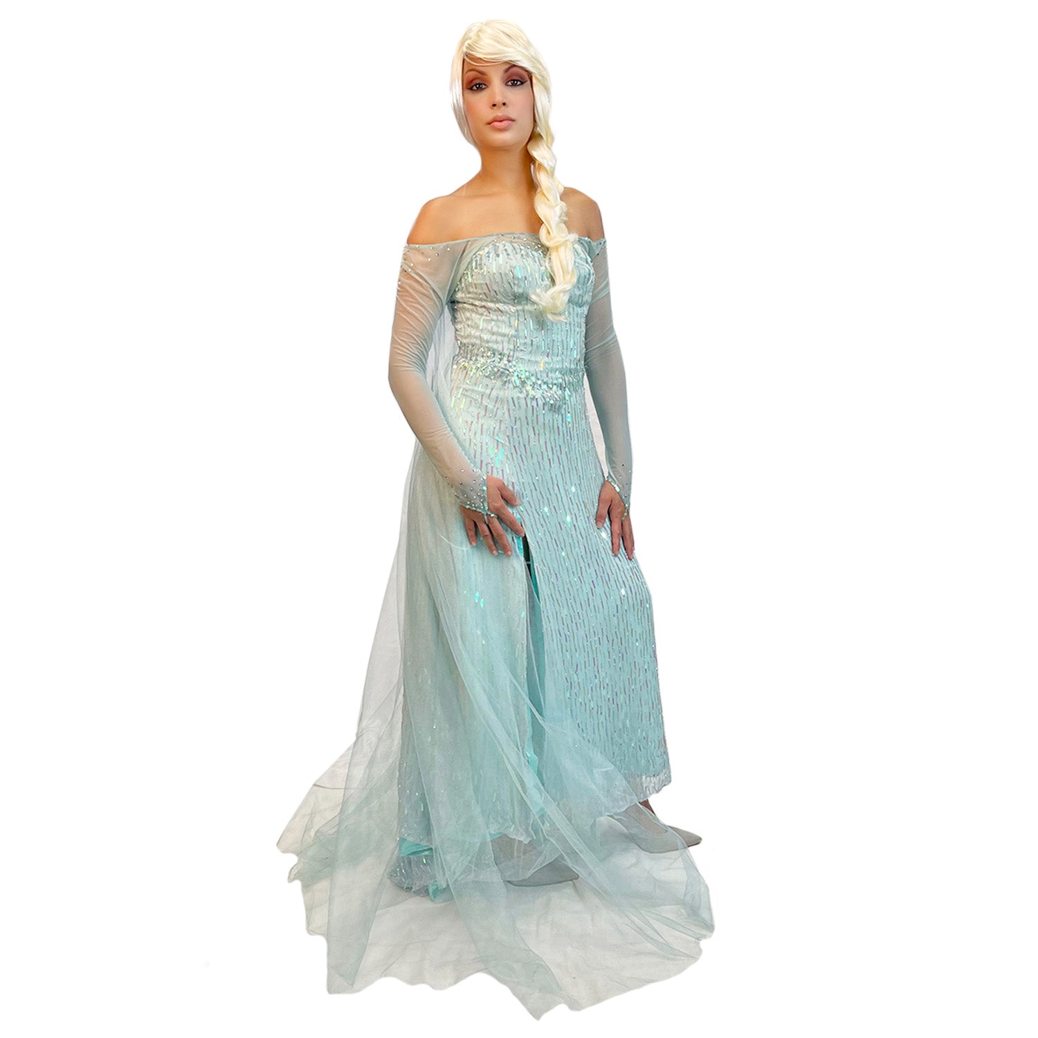 Fairytale Frozen Queen Elsa Adult Costume
