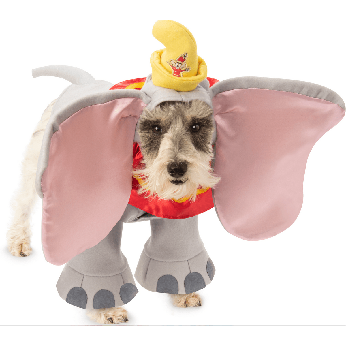 Dumbo Pet Costume