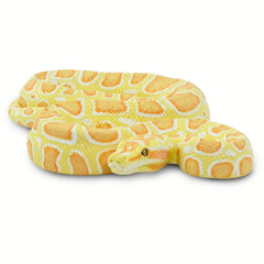 Python Prop - Albino Burmese