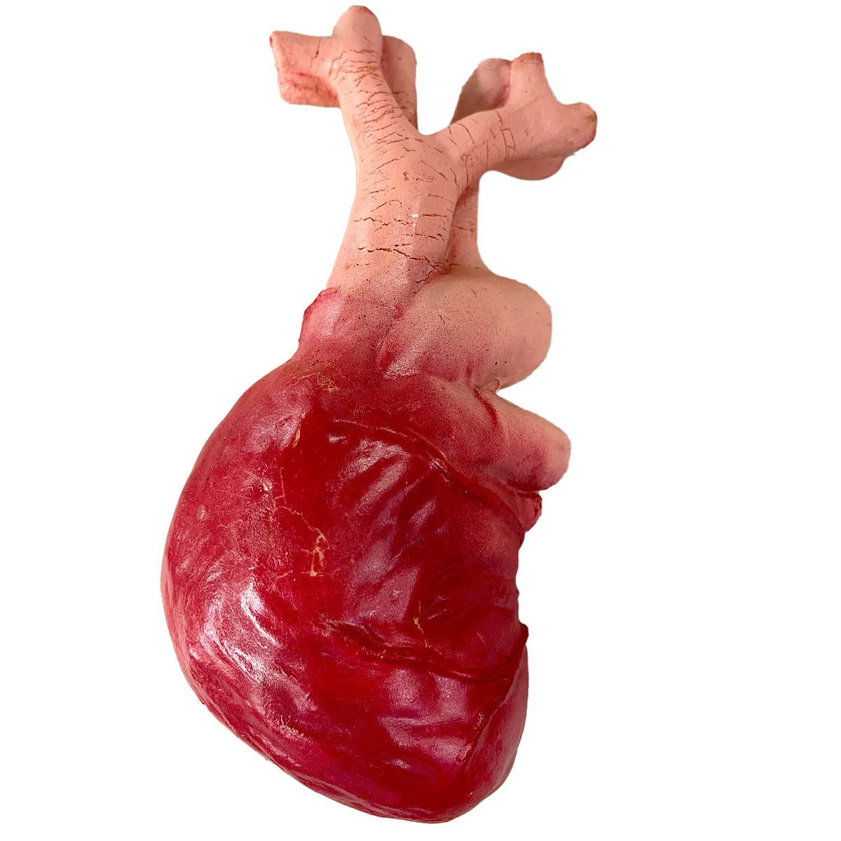 Veiny Realistic Heart Prop
