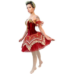 Whimsical Red Swan Tutu Adult Ballet Costume