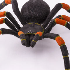 Spider Prop - Orange Kneed Tarantula