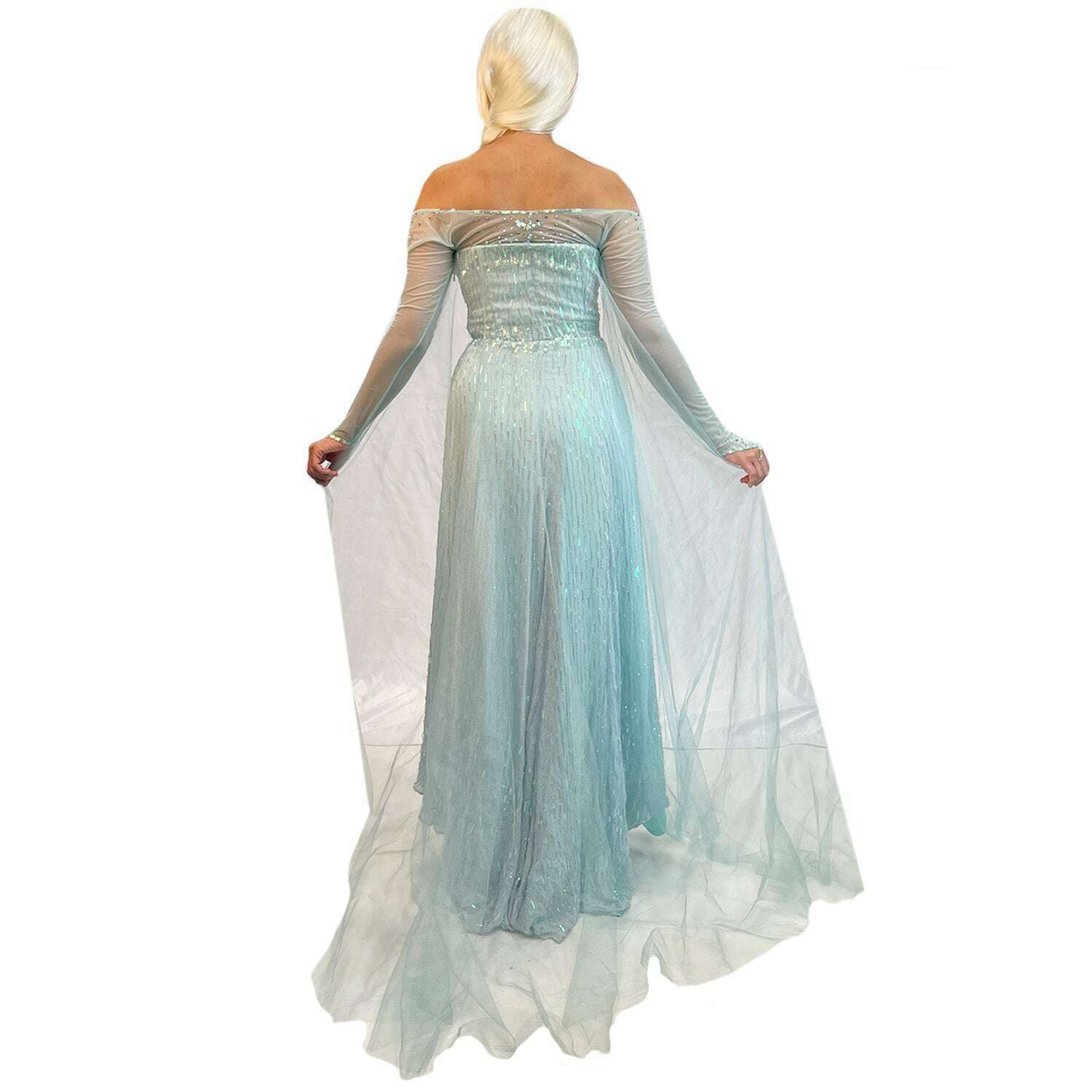 Fairytale Frozen Queen Adult Costume Rent / Small Fairytale Frozen Queen Adult Costume Rent / Small