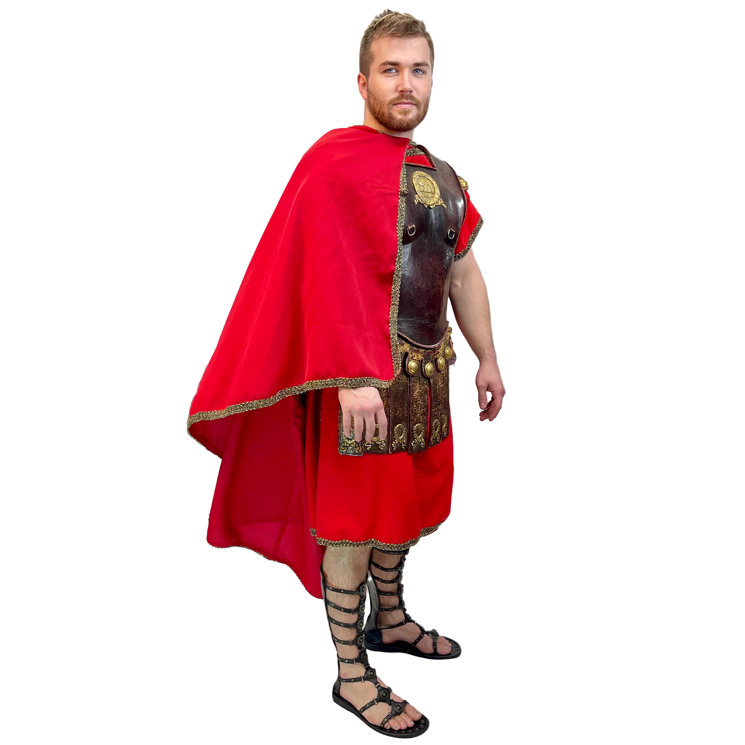 Bear Gladiator Premium Adult Theater Quality Costume