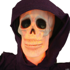 Fire & Ice Hanging Skull Reaper Decoration